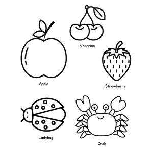 My colour Book